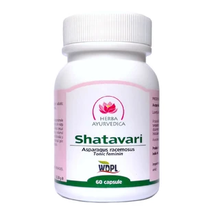 Shatavari, 60 Kapseln, Ayurvedisches Kraut
