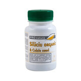 Organic Silicon and Coral Calcium, 60 capsules, Pro Natura