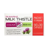 Silymarin + Choline Milk Thistle 1000 mg, 90 + 30 capsules, Zdrovit