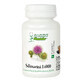 Silymarin 14000, 60 tablets, Dacia Plant