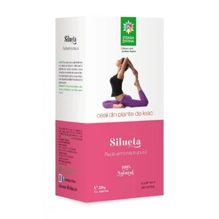 Siluet Tee Kräutermischung, 50 g, Divine Star