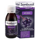 Jarabe de sa&#250;co negro Original L&#237;quido, 120 ml, Sambucol