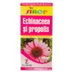 Jarabe de equinácea y propóleo, 200ml, Elidor