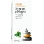 Wegerichsirup, 150 ml, Alevia
