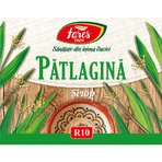Jarabe de rótula, R10, 250 ml, Fares