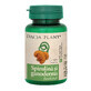 Spirulina and Ganoderma, 60 tablets, Dacia Plant
