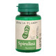 Spiruline, 60 comprim&#233;s, Dacia Plant