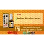 Natural propolis extract spray with colloidal silver, 20 ml, Dacia Plant