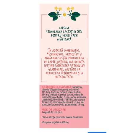 Mama und Baby Stimulation der Laktation, G85, 60 Kapseln, Fares