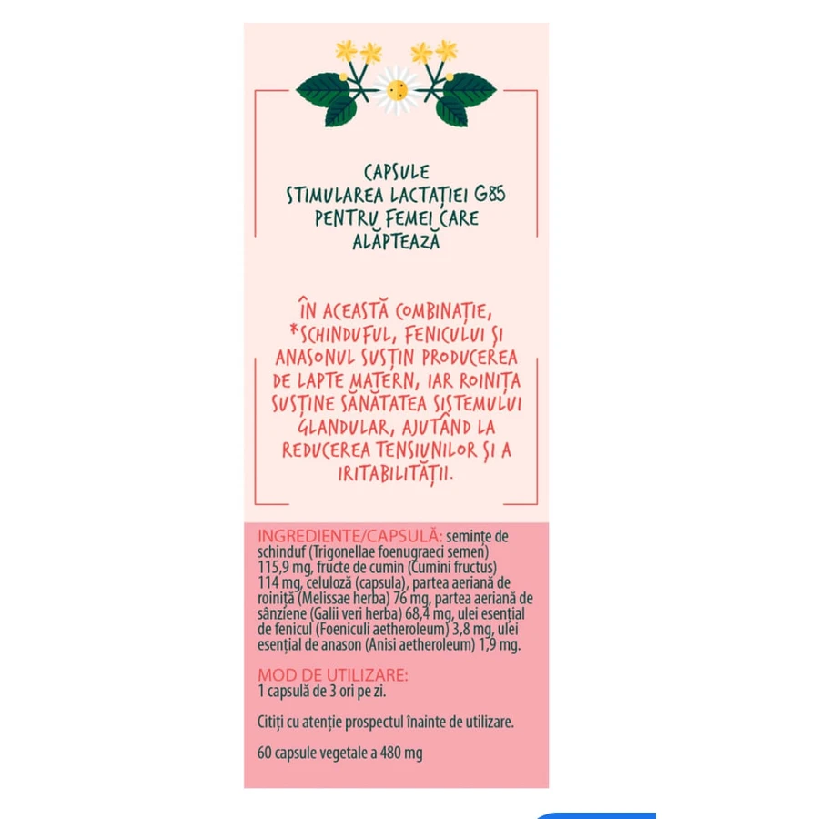 Mama und Baby Stimulation der Laktation, G85, 60 Kapseln, Fares