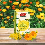 Gesunder Magen, D49, 60 Kapseln, Fares