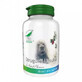 Bearberry, 60 capsules, Pro Natura