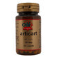 Articart, 60 capsules, Obire