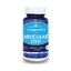 Tallo Articular, 60 cápsulas, Herbagetica