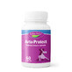Arto Protect, 60 capsules, Indian Herbal