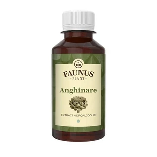 Tinktur der Artischocke, 200 ml, Faunus Plant