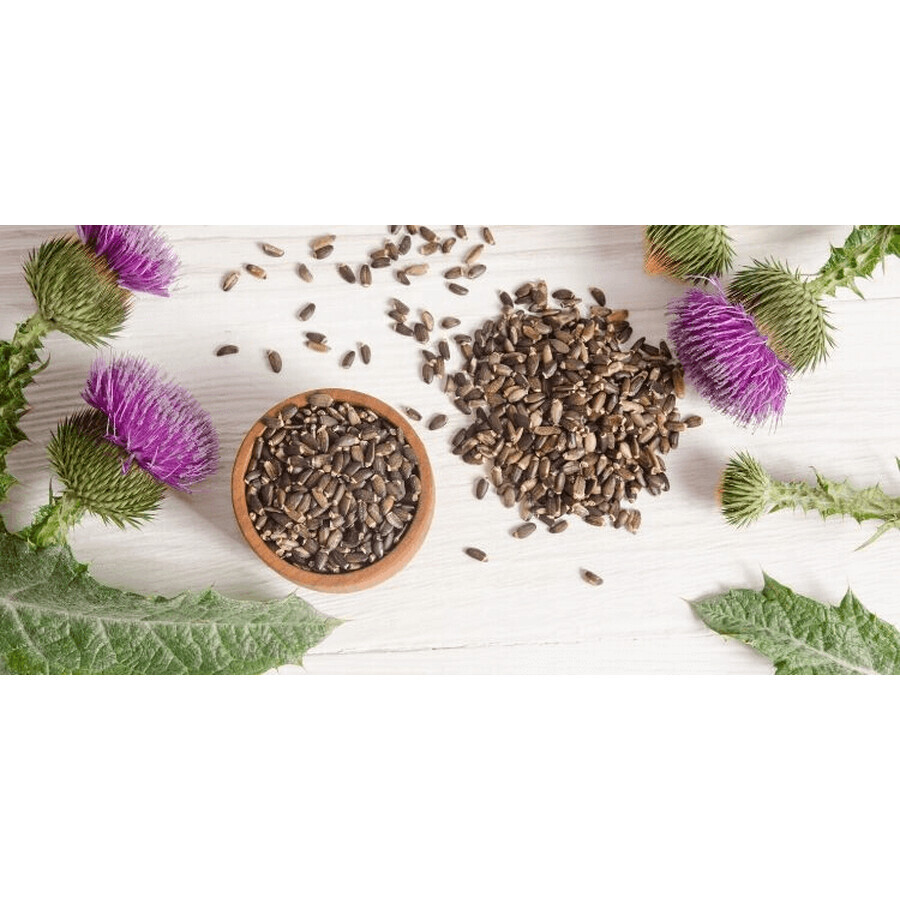 Tincture of Armouraria, 50 ml, Dacia Plant