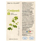 Tinctura de Cretisoara, 50 ml, Dacia Plant