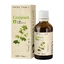 Tincture of Cretisoara, 50 ml, Dacia Plant