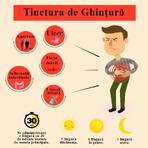 Tintura Gintura, 500 ml, Pianta aromatica Tintura Gintura, 500 ml, Pianta aromatica