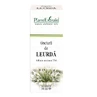 Lure Tincture, 50 ml, Plant Extrakt