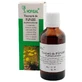 Löwenzahn-Tinktur, 50 ml, Hofigal