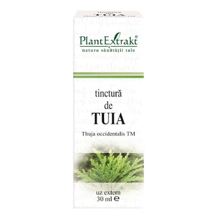 Tintura de Tuia, 30 ml, Plant Extrakt