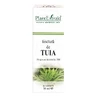 Tintura de Tuia, 30 ml, Plant Extrakt