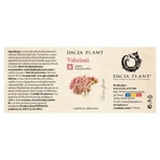 Tincture of Valerian, 50 ml, Dacia Plant