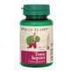 Liver tonic, 60 tablets, Dacia Plant