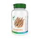 Ashwagandha, 40 capsule, Pro Natura