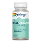 Total Cleanse Harnsäure Solaray, 60 Kapseln, Secom