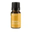 TURMERIC, ätherisches Öl (Kurkuma longa), 10 ml, Sabio