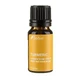 TURMERIC, ätherisches Öl (Kurkuma longa), 10 ml, Sabio