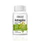 Astragalus 450mg, 30 capsules, Zenyth