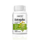 Astragalus 450mg, 30 capsule, Zenyth