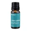 100% reines ätherisches Öl Litsea Cubeba, 10 ml, Sabio
