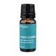 100% reines ätherisches Öl Litsea Cubeba, 10 ml, Sabio
