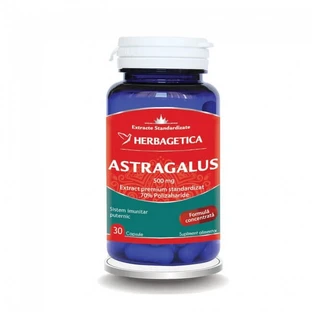 Astragalus 500 mg, 30 Kapseln, Herbagetica