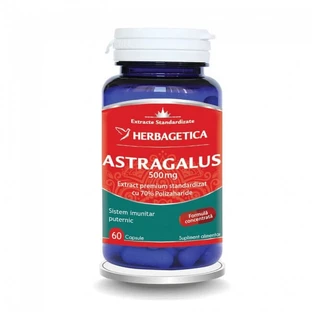 Astragalus 500 mg, 60 capsules, Herbagetica