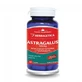 Astragalus 500 mg, 60 capsules, Herbagetica