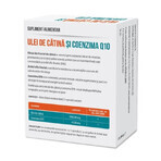 Sanddornöl und Coenzym Q10, 30 Kapseln, Parapharm Sanddornöl und Coenzym Q10, 30 Kapseln, Parapharm