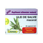 Macérat huileux de sauge 500 mg, 40 gélules, Hofigal Macérat huileux de sauge 500 mg, 40 gélules, Hofigal