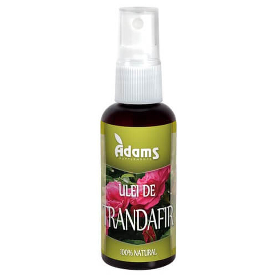 Cumpără Ulei de trandafir, 50ml, Adams Vision Ulei de trandafir, 50ml, Adams Vision