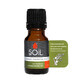 Pure Essential Oil Cypress 100% Organic, 10 ml, SOiL