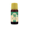 Eucalyptus essential oil, 10 ml, Herbavit