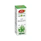 Eucalyptus essential oil, R19, 10 ml, Fares