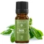 Essential oil of tropical basil (M - 1327), 10 ml, Mayam