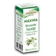 Ätherisches Öl Eukalyptus Maxima, 10 ml, Justin Pharma