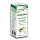 Aceite esencial de eucalipto Maxima, 10 ml, Justin Pharma
